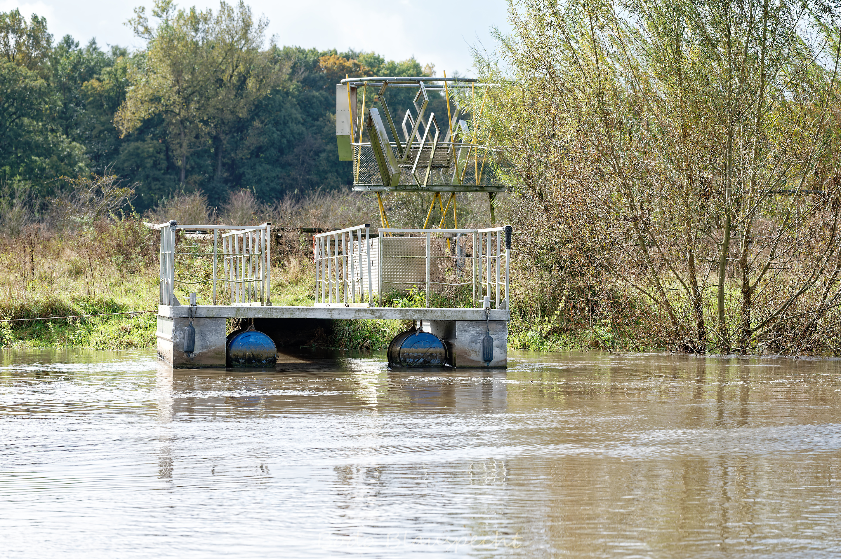 Hochwasser   Steveraue   2024.10.10 13.01 198 WEB